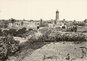 Old Photo of Gaza - Bayyāra