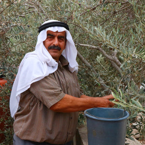 Palestinian Olive Farmer - Bayyāra